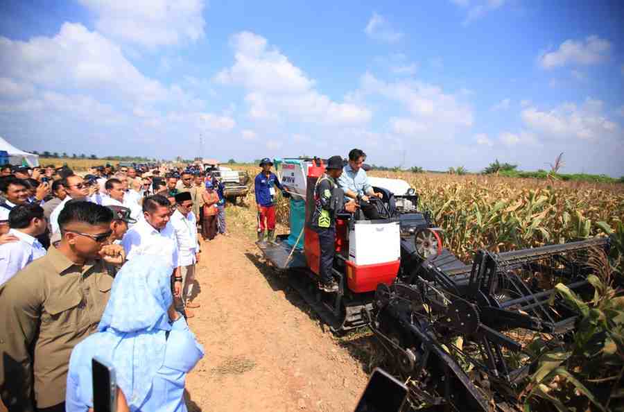 Gubernur Sumsel, Hermen Deru mendampingi Wapres Gibran panen raya jagung di Desa Mulia Sari, Kecamatan Tanjung Lago, Banyuasin, Kamis (25/9/2025). Foto: Humas Pemprov Sumsel.