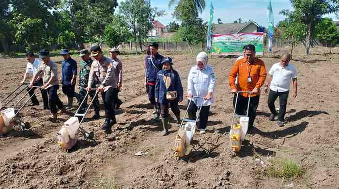 Kegiatan Tanam Jagung Serentak Kuartal IV dipusatkan di Jl Bupati Oesman Bakar, Kelurahan Kayuara, Kecamatan Sekayu, Rabu (08/10/2025). Foto: Kominfo Muba.