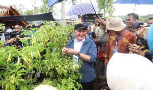 cabai (1) Gubernur Sumsel, Herman Deru melihat tanaman cabai pada PEDA KTNA di Tebing Tinggi, Empat Lawang, Kamis (6/11/2025). Foto: Humas Pemprov Sumsel.