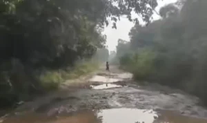jalan Kondisi jalan yang rusak di Lawang Wetan, Muba, Foto: IST