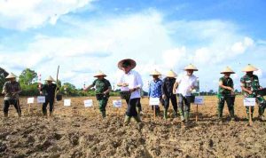 Gubernur Sumsel, Herman deru tanam perdana sawah rakyat di Desa Lumpatan 2, Kecamatan Sekayu, Muba, yang digelar bersama Gubernur Herman Deru, Pangdam II/Sriwijaya, Danrem 044/Gapo, serta Bupati Muba, Minggu (30/11/2025). Foto: Humas Pemprov Sumsel.