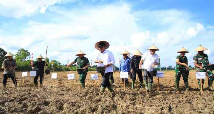 Gubernur Sumsel, Herman deru tanam perdana sawah rakyat di Desa Lumpatan 2, Kecamatan Sekayu, Muba, yang digelar bersama Gubernur Herman Deru, Pangdam II/Sriwijaya, Danrem 044/Gapo, serta Bupati Muba, Minggu (30/11/2025). Foto: Humas Pemprov Sumsel.