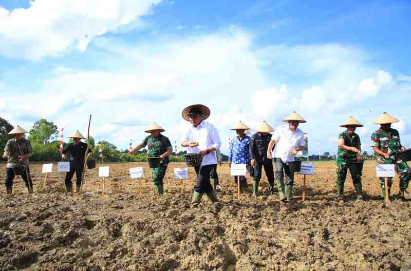 Gubernur Sumsel, Herman deru tanam perdana sawah rakyat di Desa Lumpatan 2, Kecamatan Sekayu, Muba, yang digelar bersama Gubernur Herman Deru, Pangdam II/Sriwijaya, Danrem 044/Gapo, serta Bupati Muba, Minggu (30/11/2025). Foto: Humas Pemprov Sumsel.