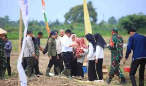 Gubernur Sumsel, Herman Deru saat berada di sawah Desa Adum Manis, OKU Timur, Selasa (23/12/2025). Foto: Humas Pemprov Sumsel.