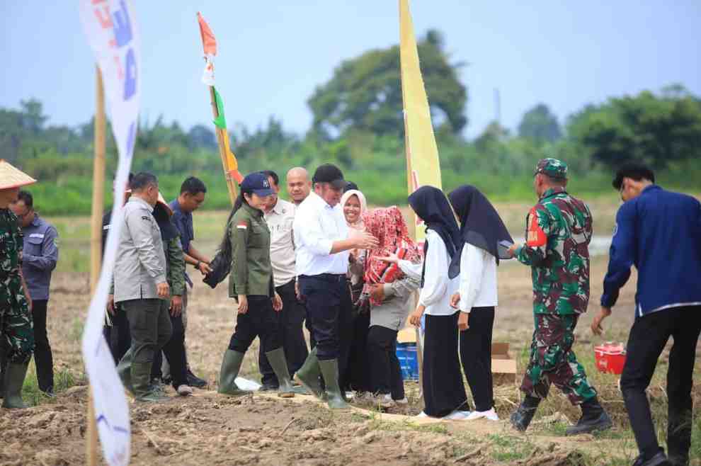 Gubernur Sumsel, Herman Deru saat berada di sawah Desa Adum Manis, OKU Timur, Selasa (23/12/2025). Foto: Humas Pemprov Sumsel.