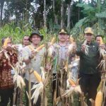 Kerjsama TNI dan Polri, Pemkab Muba menggelar Panen Raya Jagung Serentak Kuartal I Tahun 2026, sekaligus mengikuti kegiatan tersebut secara virtual, Kamis (08/01/2026), yang dipusatkan di Dusun III Desa Ulak Paceh Jaya, Kecamatan Lawang Wetan. Foto: Kominfo Muba.