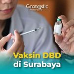 Ilustrasi vaksinasi DBD. Foto; IST