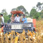 Wagub Sumsel, Cik Ujang saat panen raya jagung di Desa Bumi Agung Jaya, OKU Selatan, Sabtu (16/5/2026). Foto: Humas Pemprov Sumsel.