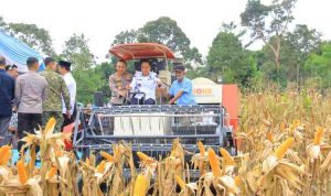 Wagub Sumsel, Cik Ujang saat panen raya jagung di Desa Bumi Agung Jaya, OKU Selatan, Sabtu (16/5/2026). Foto: Humas Pemprov Sumsel.