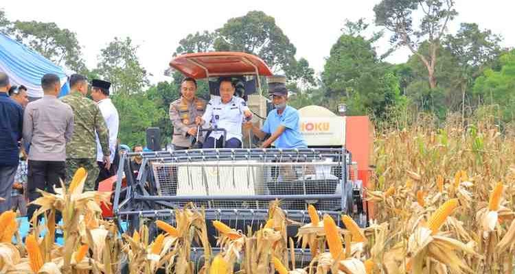 Wagub Sumsel, Cik Ujang saat panen raya jagung di Desa Bumi Agung Jaya, OKU Selatan, Sabtu (16/5/2026). Foto: Humas Pemprov Sumsel.