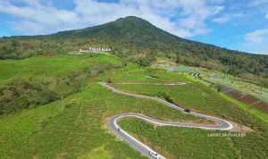 Kawasan wisata Gunung Dempo. Foto: IST