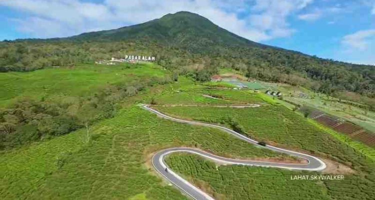 Kawasan wisata Gunung Dempo. Foto: IST