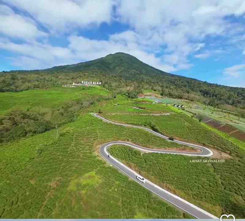 Kawasan wisata Gunung Dempo. Foto: IST