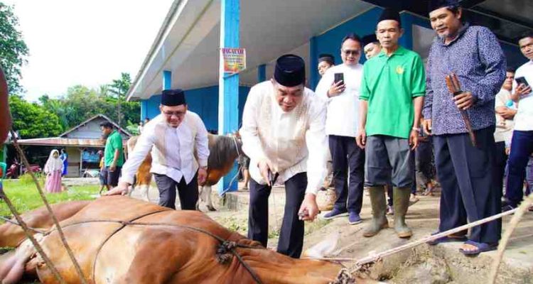 Usai melaksanakan Sholat Idul Adha 1447 Hijriah di Masjid At-Tauhid Desa Sungai Angit, Kecamatan Babat Toman, Bupati Musi Banyuasin H M Toha Tohet, SH bersama Ketua TP PKK Muba Hj Patimah Toha meninjau langsung proses penyembelihan hewan kurban di Balai Desa Sungai Angit, Rabu (27/5/2026). Foto: Kominfo Muba.