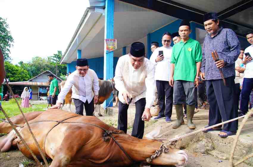 Usai melaksanakan Sholat Idul Adha 1447 Hijriah di Masjid At-Tauhid Desa Sungai Angit, Kecamatan Babat Toman, Bupati Musi Banyuasin H M Toha Tohet, SH bersama Ketua TP PKK Muba Hj Patimah Toha meninjau langsung proses penyembelihan hewan kurban di Balai Desa Sungai Angit, Rabu (27/5/2026). Foto: Kominfo Muba.