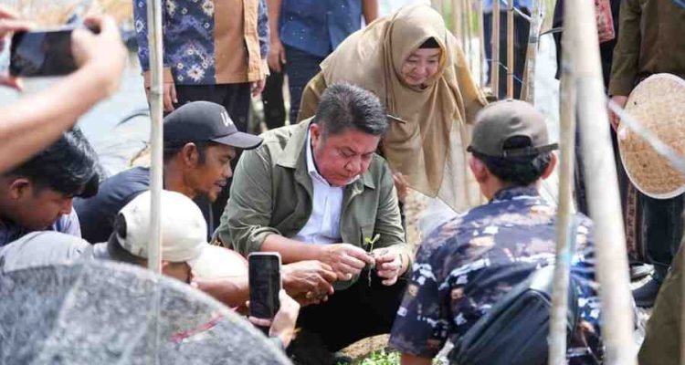 Gubernur Sumsel, Herman deru saat meninjau Sriwijaya Science Techno Park (SSTP), Kamis (9/7/2026), Foto: Humas Pemprov Sumsel.