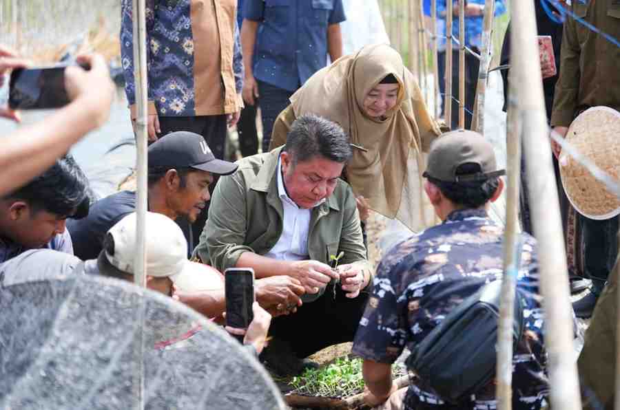 Gubernur Sumsel, Herman deru saat meninjau Sriwijaya Science Techno Park (SSTP), Kamis (9/7/2026), Foto: Humas Pemprov Sumsel.