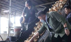 Tinjau Pabrik Gubernur Sumsel, Herman Deru meninjau pabrik tepung tapioka di Indceralaya Utara, Kamis (9/7/2026). Foto: Humas Pemprov Sumsel.