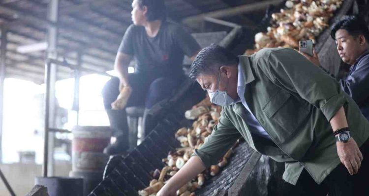 Gubernur Sumsel, Herman Deru meninjau pabrik tepung tapioka di Indceralaya Utara, Kamis (9/7/2026). Foto: Humas Pemprov Sumsel.
