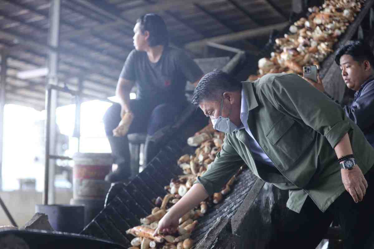 Gubernur Sumsel, Herman Deru meninjau pabrik tepung tapioka di Indceralaya Utara, Kamis (9/7/2026). Foto: Humas Pemprov Sumsel.