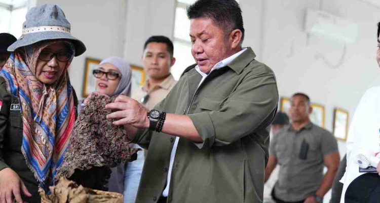 Gubernur Sumatera Selatan (Sumsel) Dr. H. Herman Deru meninjau kesiapan Rumah Pewarna Alami di Kebun Raya Sriwijaya, Kabupaten Ogan Ilir, Kamis (9/7/2026). Foto: Humas Pemprov Sumsel.