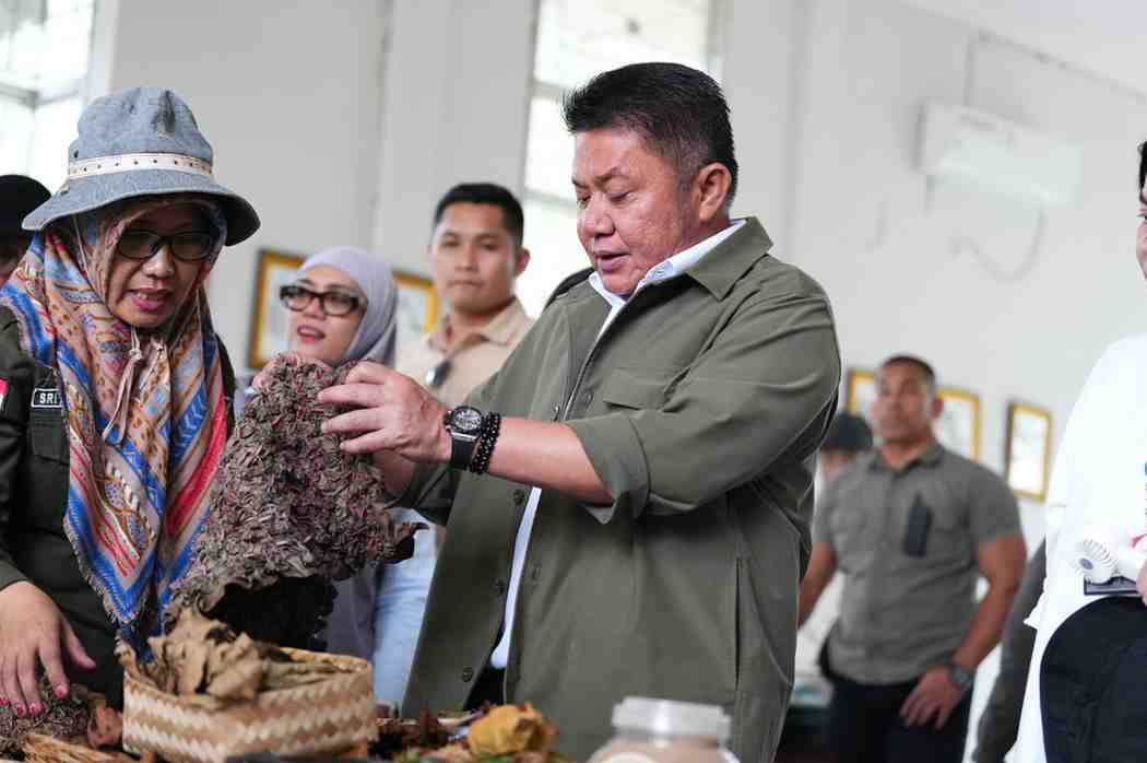 Gubernur Sumatera Selatan (Sumsel) Dr. H. Herman Deru meninjau kesiapan Rumah Pewarna Alami di Kebun Raya Sriwijaya, Kabupaten Ogan Ilir, Kamis (9/7/2026). Foto: Humas Pemprov Sumsel.
