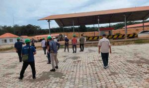 sambut Salah satu lokasi penggemukan sapi yang akan menjadi salah satu lokasi rencana hadirnya Presiden Prabowo. Foto: Kominfo Muba.