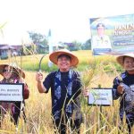 Gubernur Sumsel, Herman Deru saat menghadiri Panen Padi Tunggu Tubang dan Syukuran di Desa Tebing Abang, Kecamatan Semende Darat Tengah, Kabupaten Muaraenim, Minggu (19/7/2026). Foto: Humas Pemprov Sumsel.