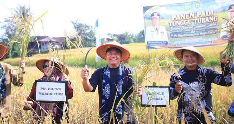 Gubernur Sumsel, Herman Deru saat menghadiri Panen Padi Tunggu Tubang dan Syukuran di Desa Tebing Abang, Kecamatan Semende Darat Tengah, Kabupaten Muaraenim, Minggu (19/7/2026). Foto: Humas Pemprov Sumsel.