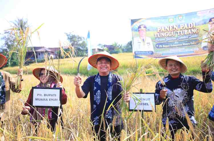 Gubernur Sumsel, Herman Deru saat menghadiri Panen Padi Tunggu Tubang dan Syukuran di Desa Tebing Abang, Kecamatan Semende Darat Tengah, Kabupaten Muaraenim, Minggu (19/7/2026). Foto: Humas Pemprov Sumsel.