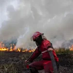 Ilustrasi kebakaran lahan menyebabkan kualitas udara tak sehat. Foto: IST/Dok BBC.com indonesia/Antara Foto.