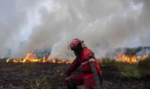 Ilustrasi kebakaran lahan menyebabkan kualitas udara tak sehat. Foto: IST/Dok BBC.com indonesia/Antara Foto.