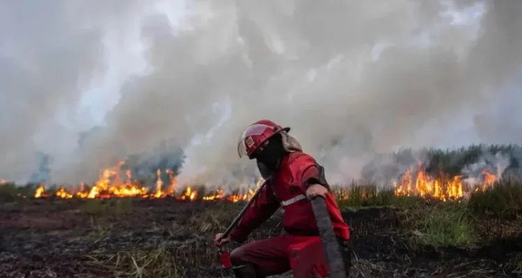 Ilustrasi kebakaran lahan menyebabkan kualitas udara tak sehat. Foto: IST/Dok BBC.com indonesia/Antara Foto.