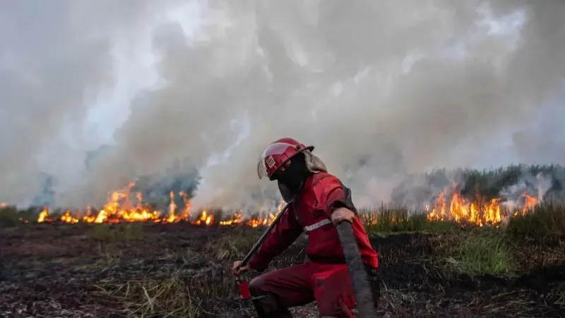 Ilustrasi kebakaran lahan menyebabkan kualitas udara tak sehat. Foto: IST/Dok BBC.com indonesia/Antara Foto.