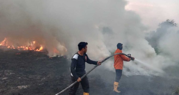 Kebakaran hutan, kebun dan lahan (Karhutbunla) kembali terjadi di wilayah Kecamatan Sekayu, Kabupaten Musi Banyuasin, Sabtu (8/8/2026). Sedikitnya tiga hektare lahan semak belukar di Kelurahan Serasan Jaya terbakar di dua lokasi berbeda yang berada tidak jauh dari permukiman warga dan fasilitas umum. Foto: Kominfo Muba.
