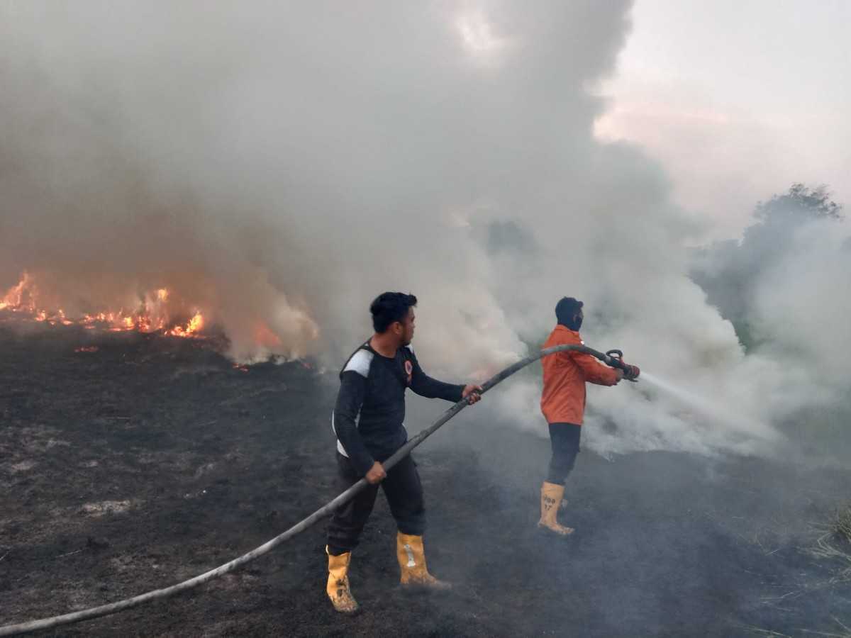 Kebakaran hutan, kebun dan lahan (Karhutbunla) kembali terjadi di wilayah Kecamatan Sekayu, Kabupaten Musi Banyuasin, Sabtu (8/8/2026). Sedikitnya tiga hektare lahan semak belukar di Kelurahan Serasan Jaya terbakar di dua lokasi berbeda yang berada tidak jauh dari permukiman warga dan fasilitas umum. Foto: Kominfo Muba.