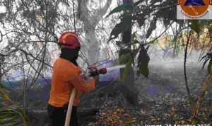 bakar-40kb Petugas memadamkan api di wilayah Kecamatan Babat Toman. Tim Karhutla Posko Siaga Darurat Karhutla Kabupaten Muba langsung melakukan groundcheck (GC) ke lokasi, Jumat (28/8/2026). Foto: Kominfo Muba.