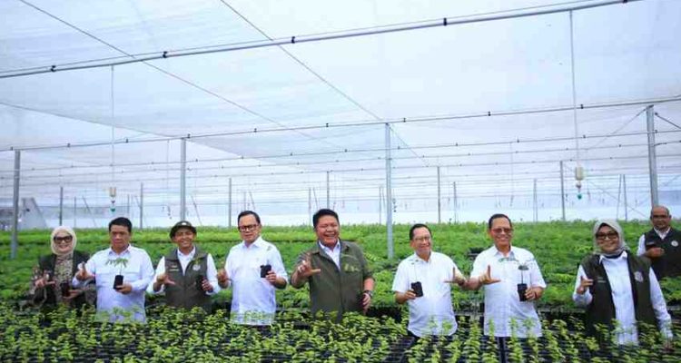 Gubernur Herman Deru saat mendampingi Menteri Kehutanan Republik Indonesia (RI) Raja Juli Antoni dan Ketua Komisi IV DPR RI dalam peresmian Persemaian Sriwijaya Kemampo di Kawasan Hutan dengan Tujuan Khusus (KHDTK) Banyuasin III, Kabupaten Banyuasin, Jumat (7/8/2026). Foto: Humas Pemprov Sumsel.