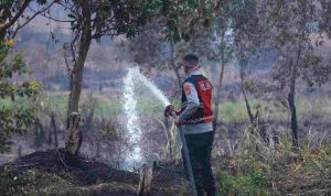 Petugas berjibaku memadamkan api di lahan yang tak jauh dari jalan Tol Palembang-Inderalaya, Sabtu (29/8/2026). Foto: Humas Pemprov Sumsel.
