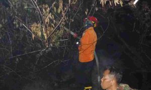 muba-40kb Kebakaran hutan, kebun dan lahan (Karhutbunla) kembali terjadi di Kabupaten Musi Banyuasin. Kali ini, api melanda kawasan Dusun 9 Desa Tanah Abang, Kecamatan Batang Hari Leko, Sabtu malam (29/8/2026). Aparat pun berjibaku hingga dini hari. Foto: Dok BPBD Muba.