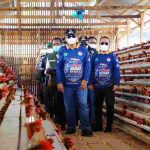Bupati Muba, HM Toha meninjau usaha peternakan ayam petelur di Desa Sukajaya, Kecamatan Bayung Lencir, Kamis (27/8/2026). Foto: Kominfo Muba.