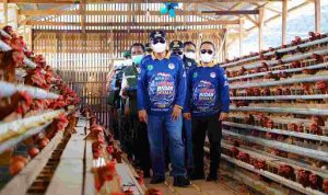 pangan-40kb Bupati Muba, HM Toha meninjau usaha peternakan ayam petelur di Desa Sukajaya, Kecamatan Bayung Lencir, Kamis (27/8/2026). Foto: Kominfo Muba.