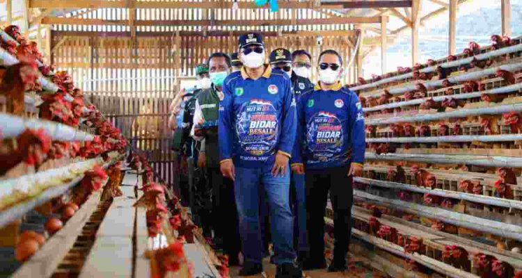 Bupati Muba, HM Toha meninjau usaha peternakan ayam petelur di Desa Sukajaya, Kecamatan Bayung Lencir, Kamis (27/8/2026). Foto: Kominfo Muba.