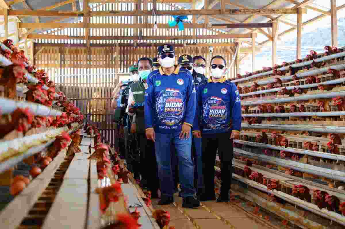Bupati Muba, HM Toha meninjau usaha peternakan ayam petelur di Desa Sukajaya, Kecamatan Bayung Lencir, Kamis (27/8/2026). Foto: Kominfo Muba.