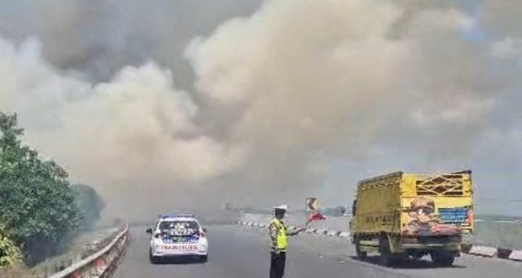 Kebakaran lahan yang asapnya menyelimuti jalan tol Palembang-Kayuagung. Foto: Dok Rmolsumsel/IST