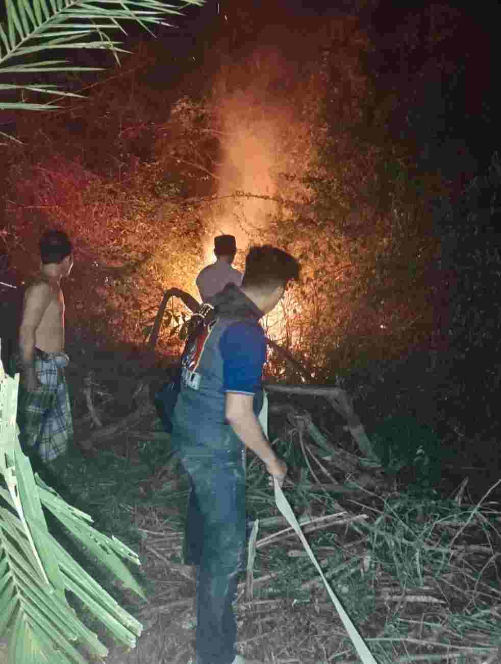 Petugas Damkar dan warga memadamkan kebakaran hutan dan lahan (karhutla) yang terjadi di dekat permukiman warga di Jalan Golkar, Dusun 2, Desa Petaling, Kecamatan Lais, Kabupaten Musi Banyuasin (Muba), Selasa (1/9/2026) malam. Foto: Kominfo Muba.