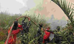Para petugas berjikabaku memadamkan api yang membakar lahan di Muba. Foto: Dok Kominfo Muba.