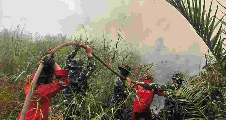 Para petugas berjikabaku memadamkan api yang membakar lahan di Muba. Foto: Dok Kominfo Muba.