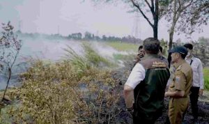 Walikota Palembang, Ratu Dewa bersama Gubernur Sumsel Herman Deru meninjau langsung kebakaran lahan di kawasan Kertapati, Senin (7/9/2026). Foto: Kominfo Palembang.