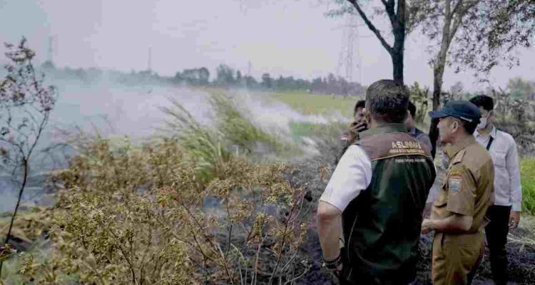 Walikota Palembang, Ratu Dewa bersama Gubernur Sumsel Herman Deru meninjau langsung kebakaran lahan di kawasan Kertapati, Senin (7/9/2026). Foto: Kominfo Palembang.